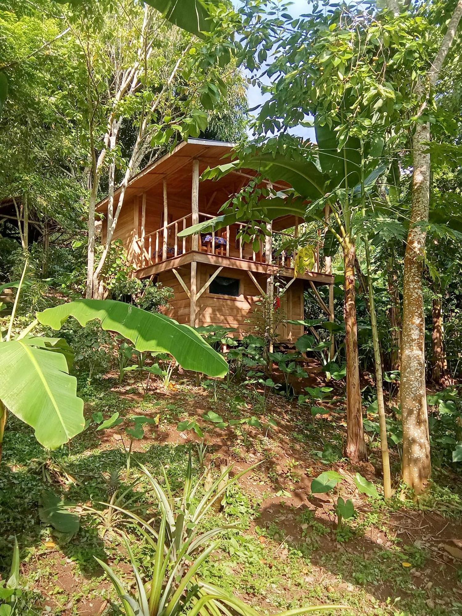 Eco-Por Villa Rio do Ouro Exteriör bild